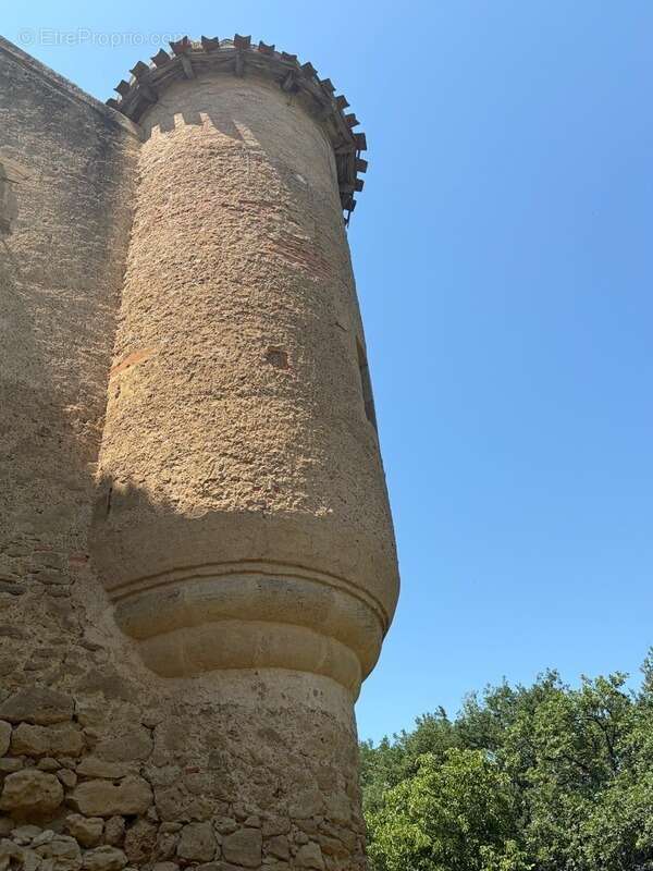 MARCIAC(32): ancienne SEIGNEURIE avec BEAU CHATEAU XIV sur 3,5ha, cachée, au bout du chemin, sans voisin, en campagne, 500m2 hab - photo 45