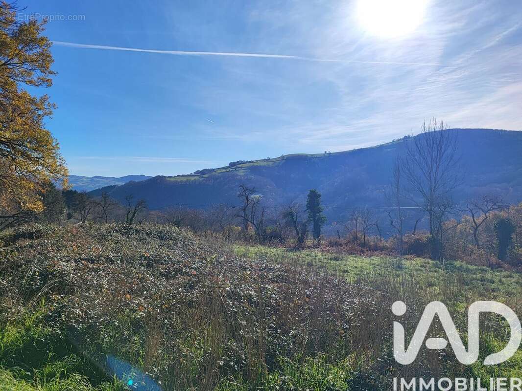 Photo 4 - Maison à SAINT-HIPPOLYTE