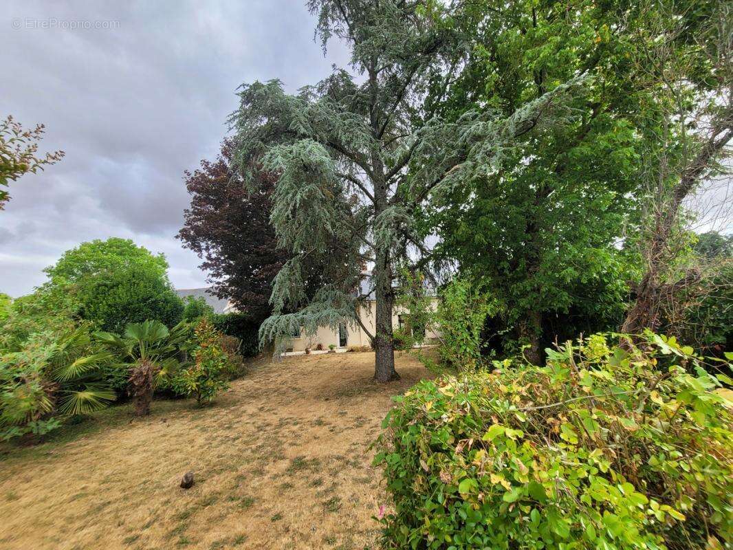 Maison 85 m² à Ligne  - photo 20