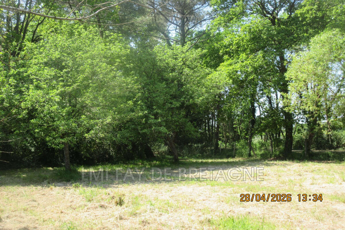 Maison 61 m² à Fay-De-Bretagne  - photo 5