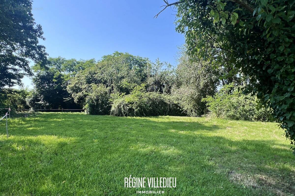 Terrain à TOURLAVILLE