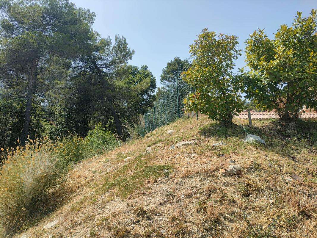 Terrain constructible - photo 3