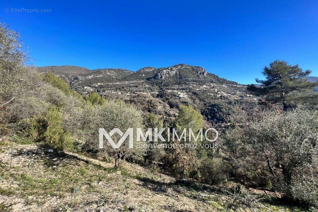 Terrain à CASTAGNIERS