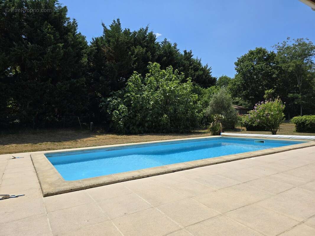 Maison 170 m² à Leon  - photo 6