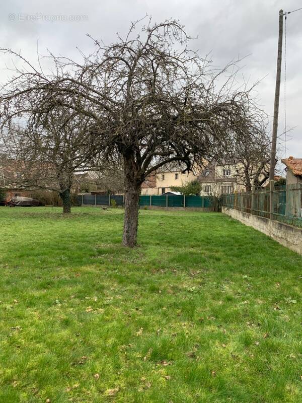 Terrain à CHATENAY-MALABRY
