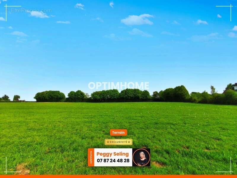 Terrain à BUIRONFOSSE