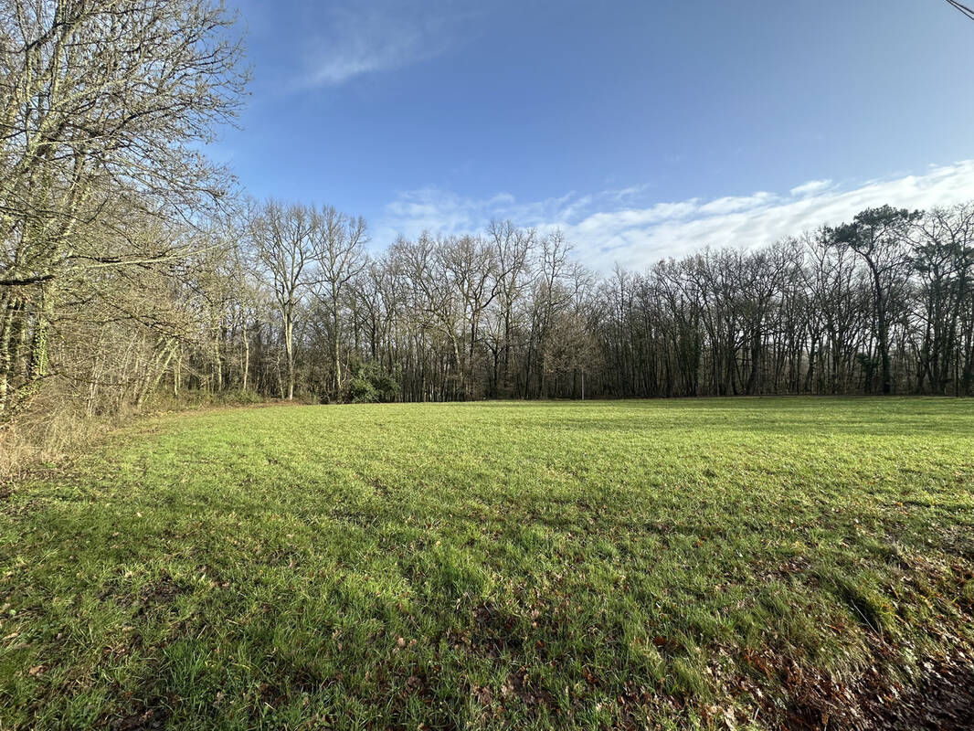 Terrain à SAVIGNAC-DE-DURAS