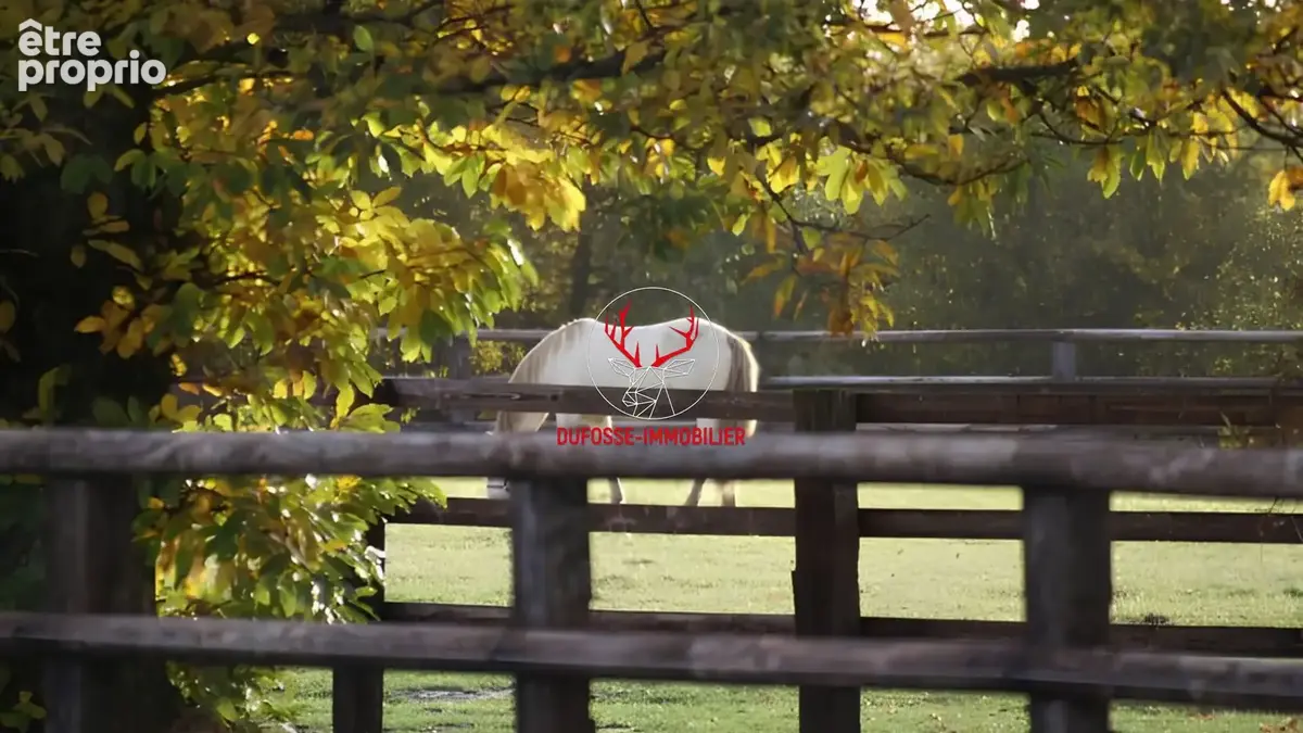 Propriété équestre de charme de plus de 16 hectares en Sologne - photo 5