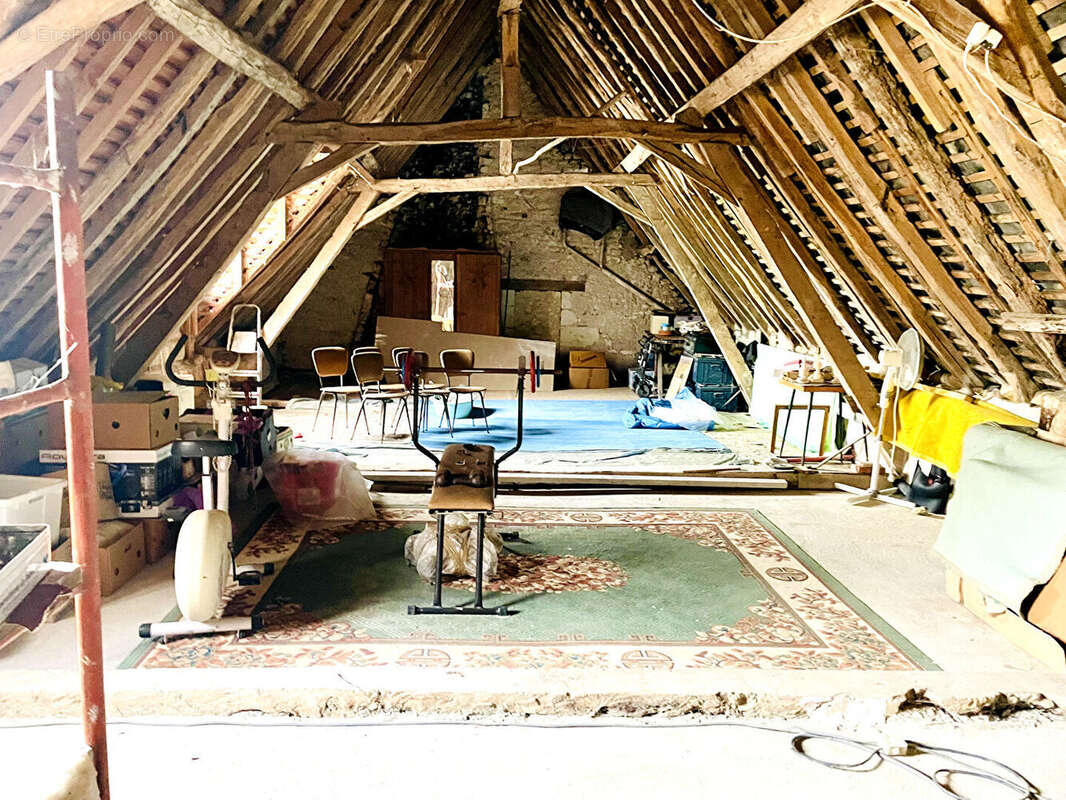 Longère en pierre 180 m² avec dépendances / Charme de l'ancien à Cussay - photo 14