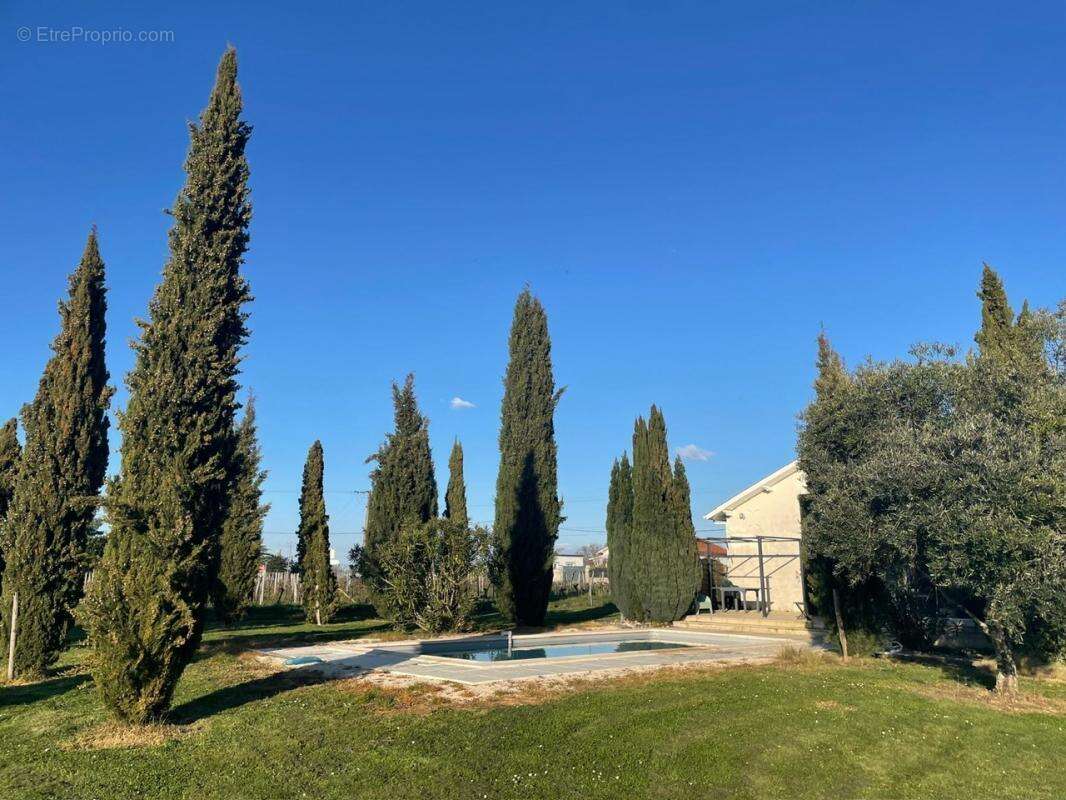 Maison à PUISSEGUIN