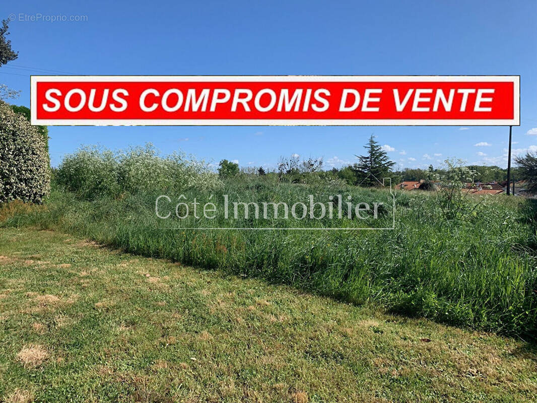 Terrain à PORT-SAINT-PERE