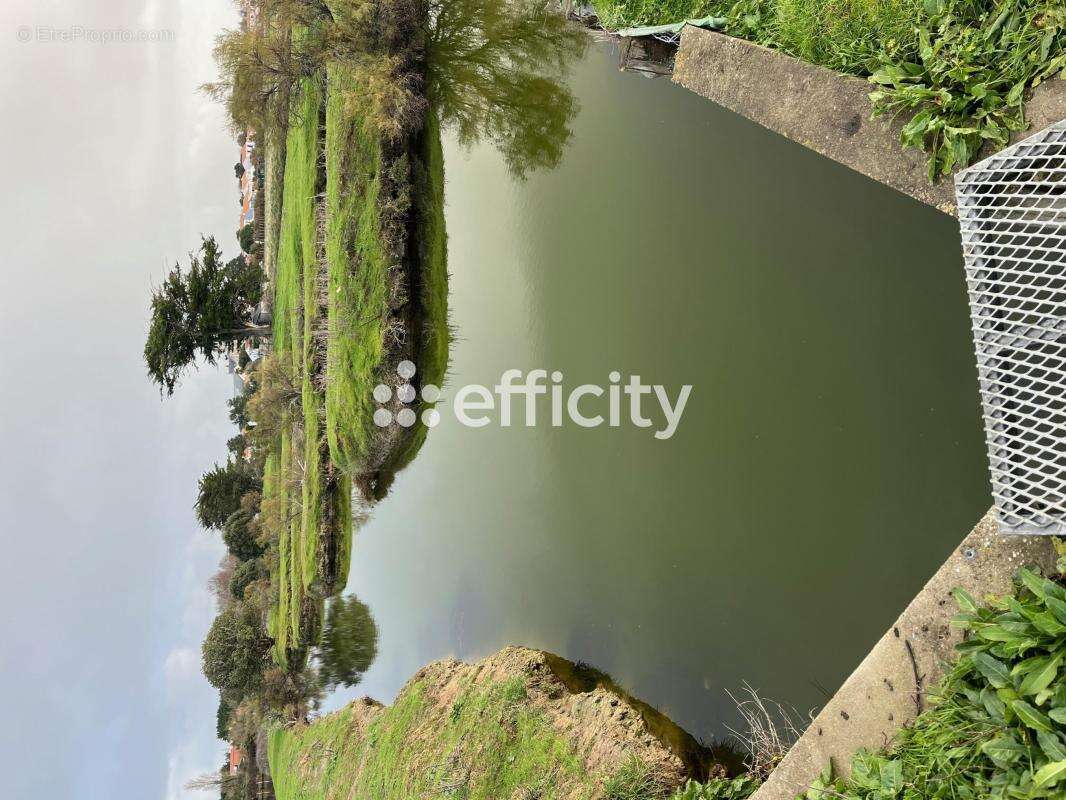 Terrain à L&#039;ILE-D&#039;OLONNE