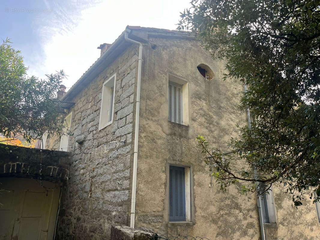 Appartement à ZICAVO