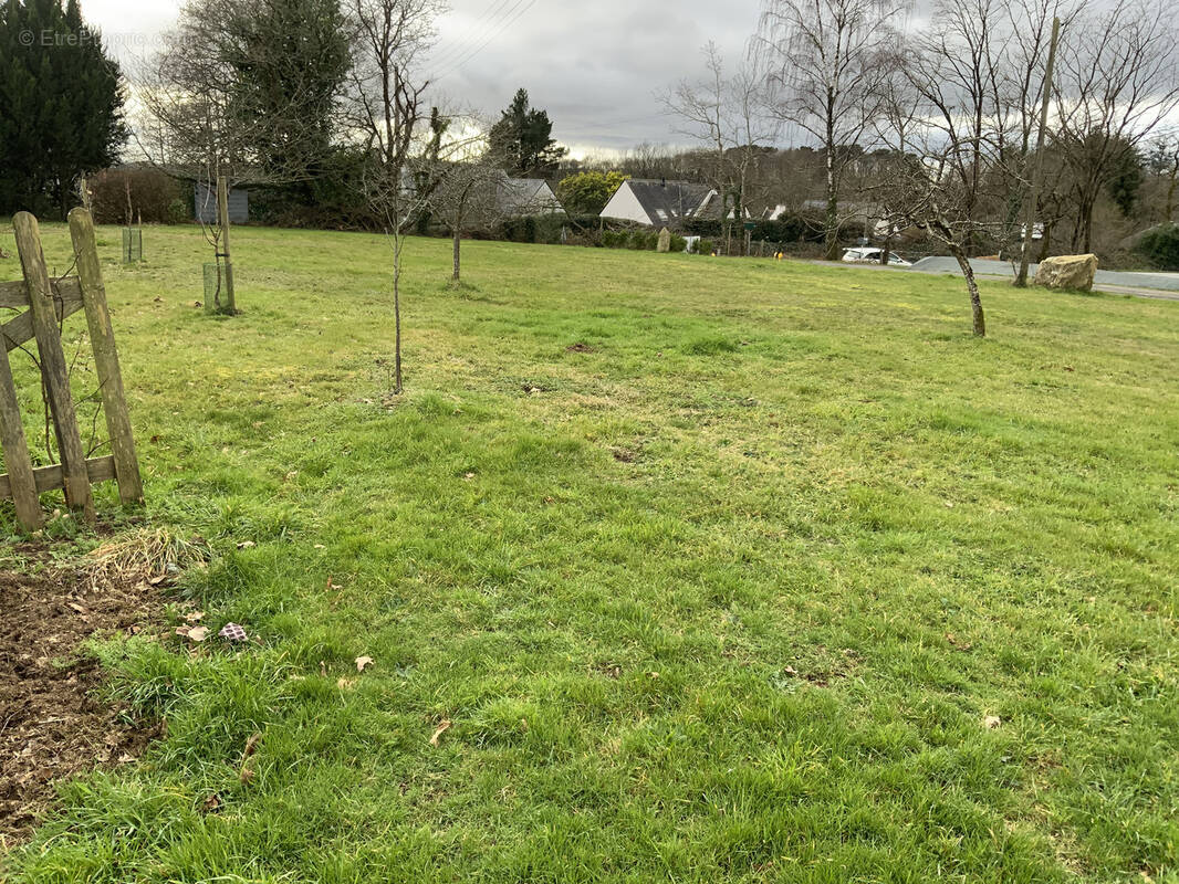 Terrain à REDENE