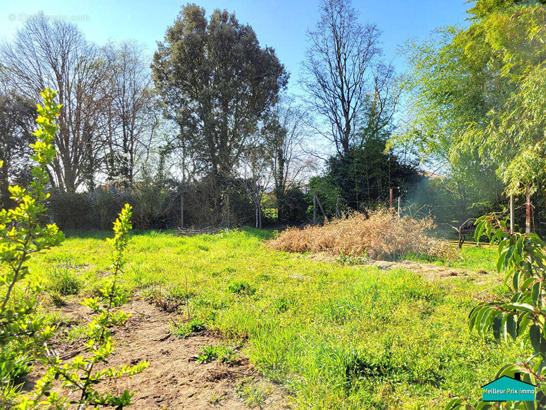 Terrain à MACHECOUL