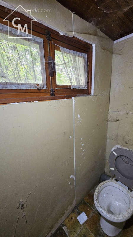 Maison avec hangar - photo 33