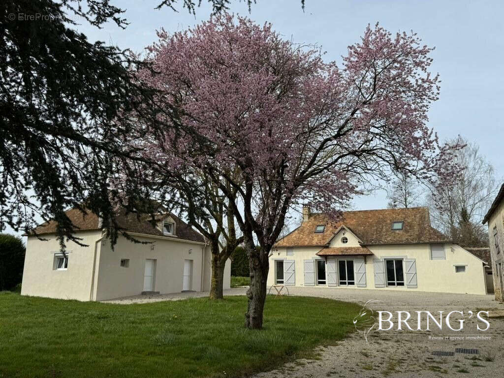 Maison à MAROLLES-LES-BRAULTS