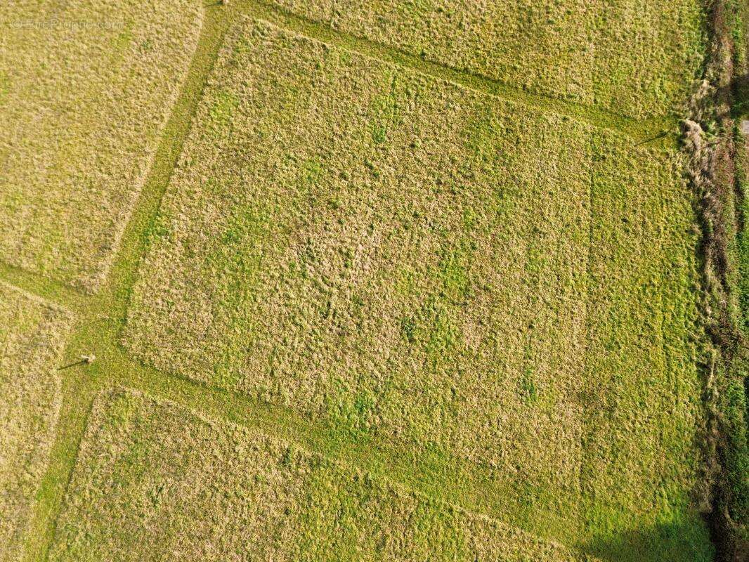 Terrain à SAUVETERRE-DE-BEARN