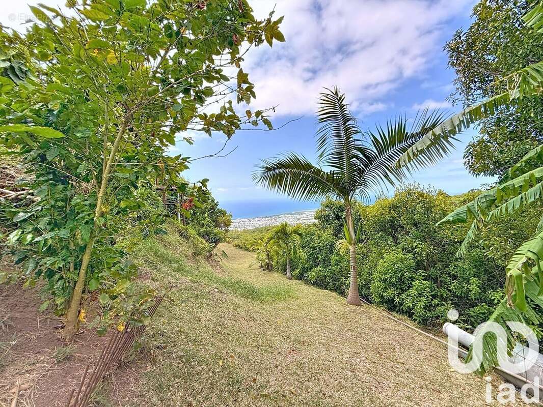 Photo 9 - Maison à SAINT-DENIS