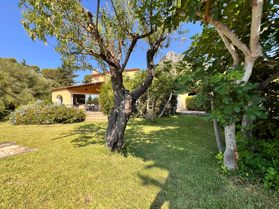 Maison à LA VALETTE-DU-VAR