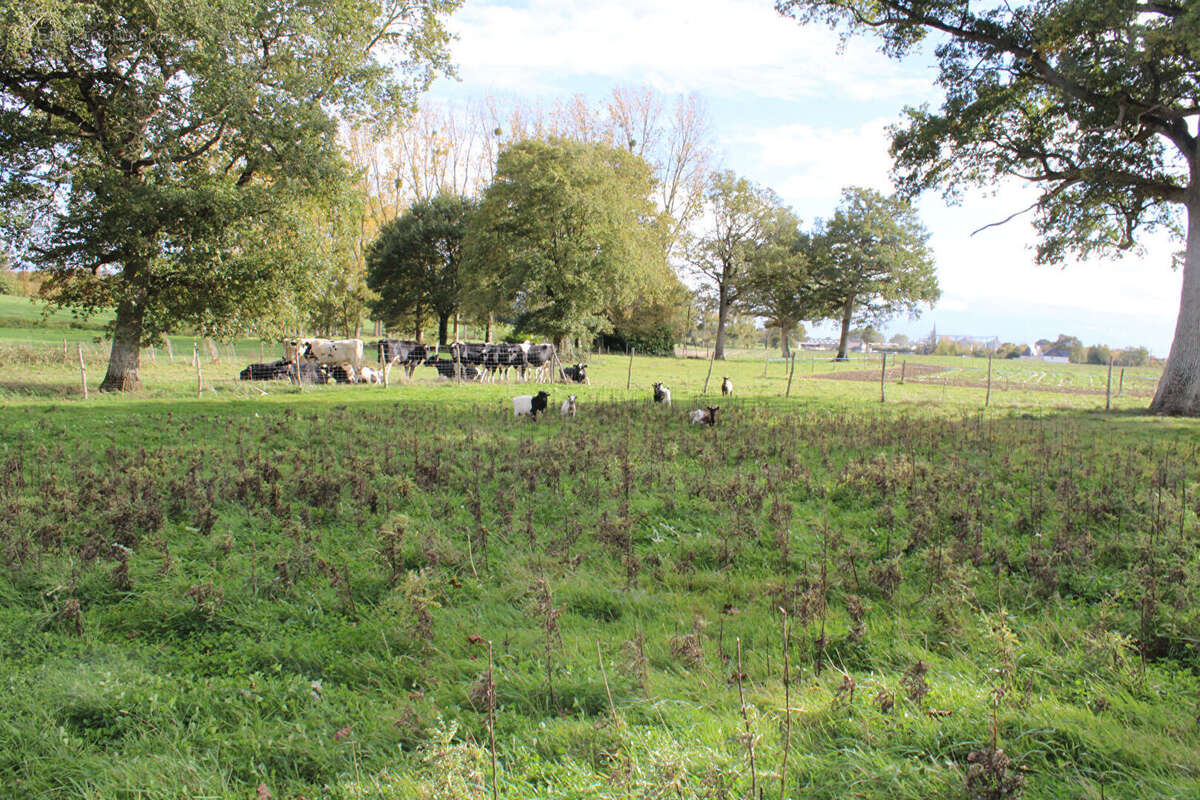 Maison à LA GUERCHE-DE-BRETAGNE