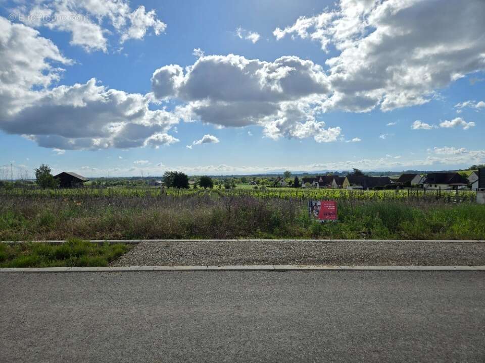 Terrain à BEBLENHEIM