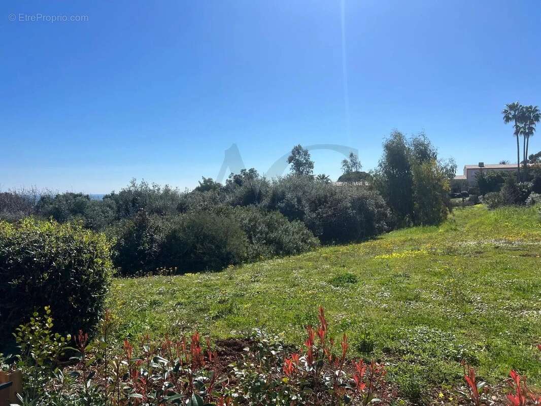 Appartement à VILLENEUVE-LOUBET