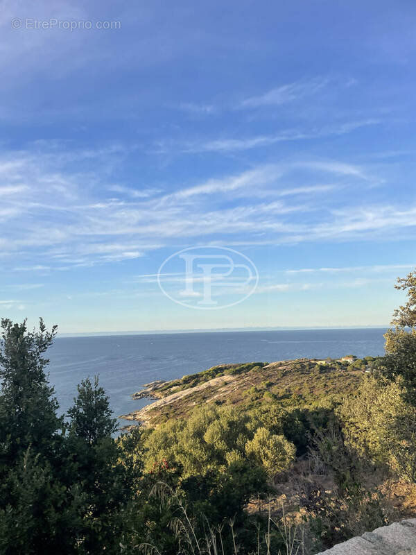 Appartement à CALVI