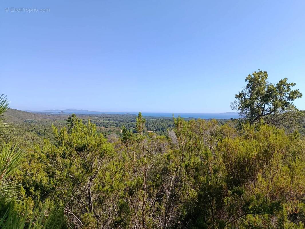 Terrain à LA LONDE-LES-MAURES