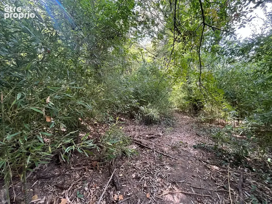 Terrain  en zone naturelle de 4042 m2 - photo 2