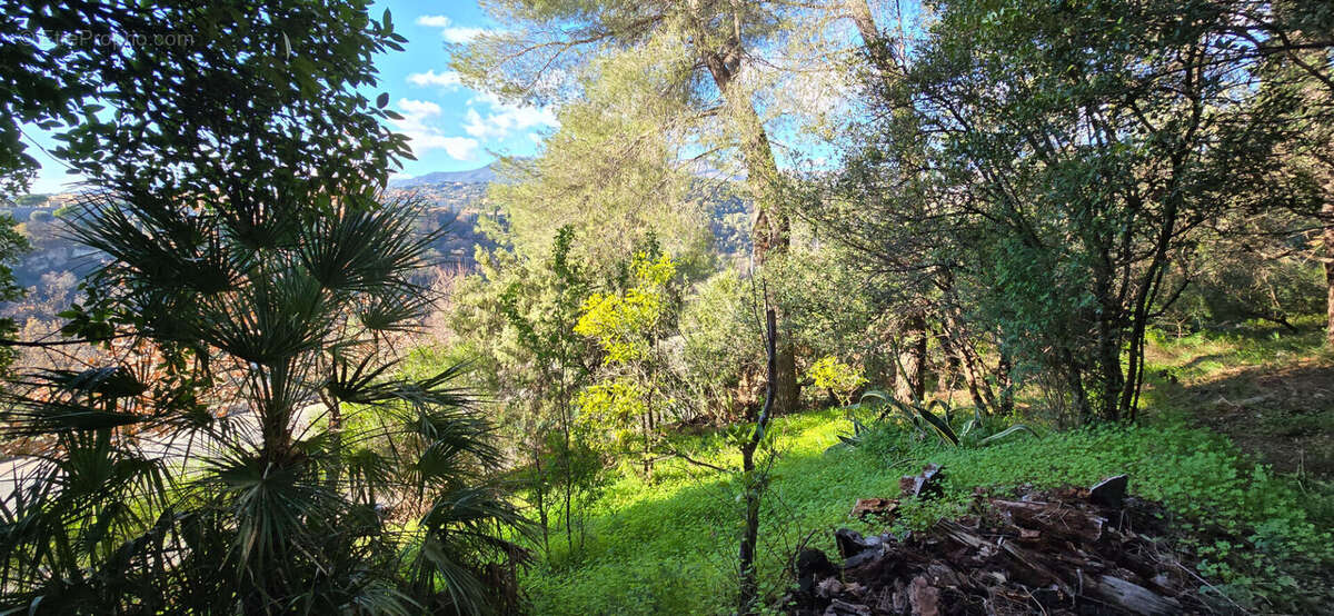 Terrain à SAINT-PAUL