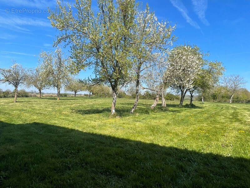 Maison à AUTHON-DU-PERCHE