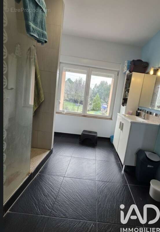 Photo 8 - Maison à CREUZIER-LE-VIEUX