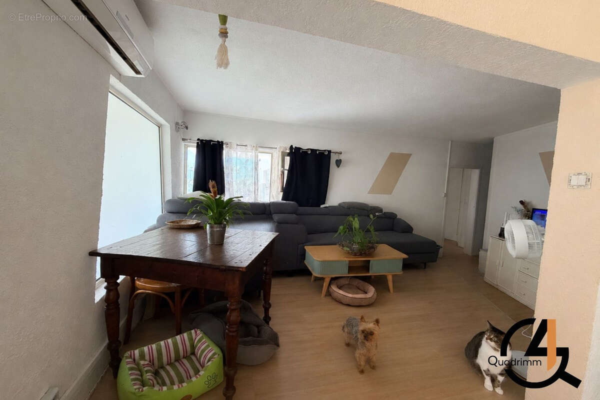 Spécial investisseur à La Grande Motte local + appartement T2 - photo 2