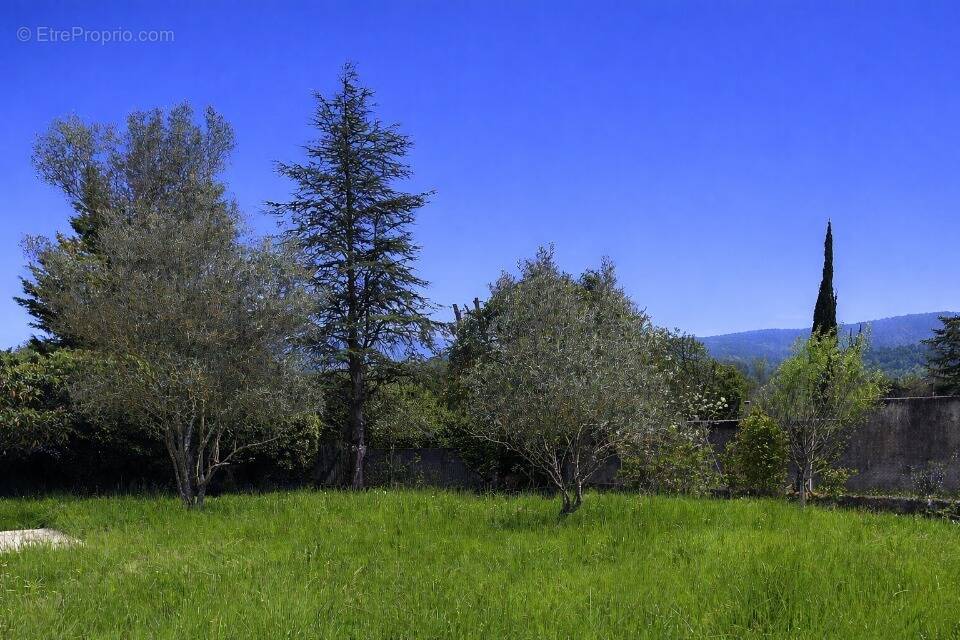 Terrain à PIGNANS