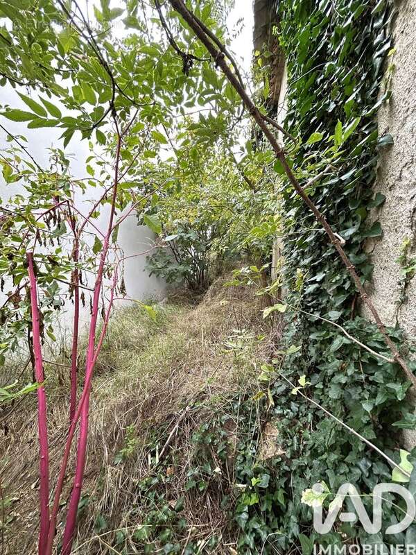 Photo 4 - Maison à SALLES-D'AUDE