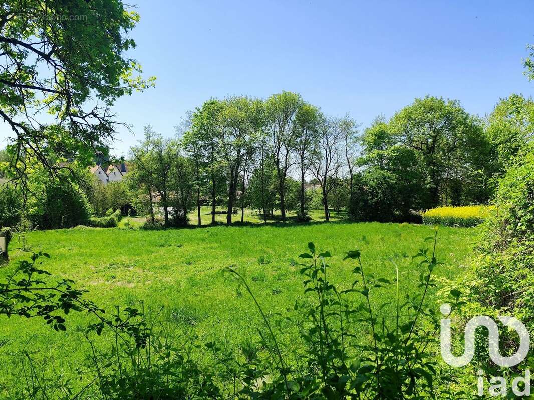 Photo 2 - Terrain à MAILLY-LE-CAMP