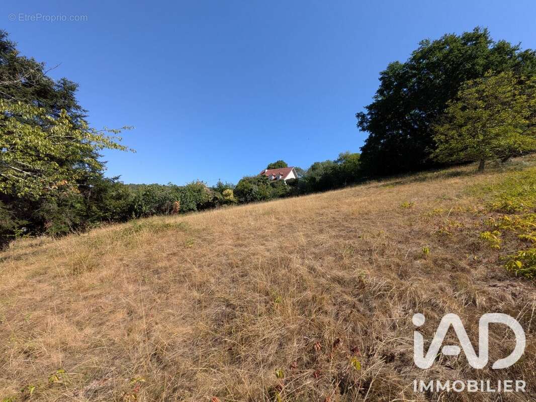 Terrain 3114 m² à Saint-Girons  - photo 2