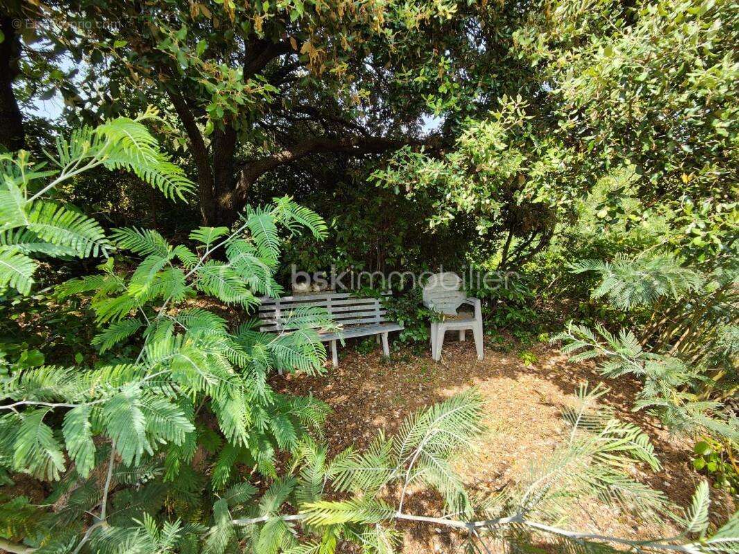 Maison à LE BOUSQUET-D&#039;ORB