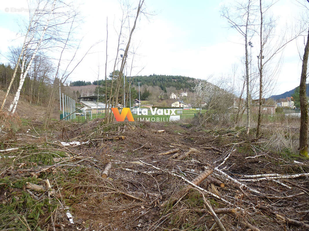 Terrain à RAON-L'ETAPE