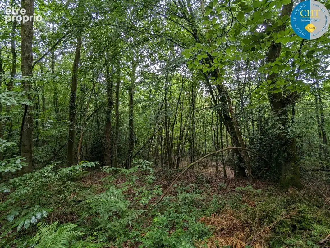 Magnifique terrain boisé de 720 m2 à saint malo de beignon (56380) avec cht immobilier - photo 5