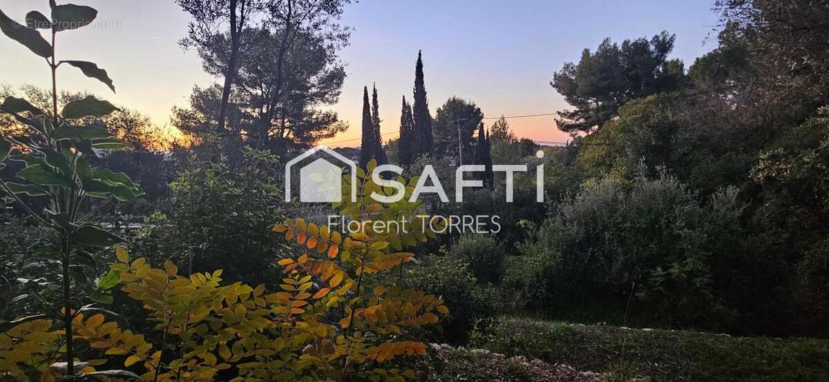 Photo 5 - Terrain à OLLIOULES