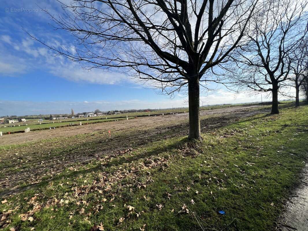 Terrain à CHATEAUGIRON