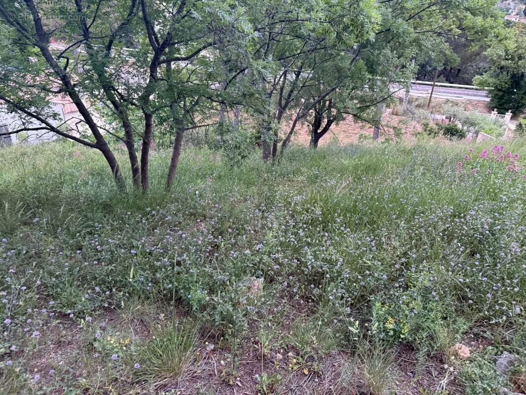 Terrain à ROQUEVAIRE