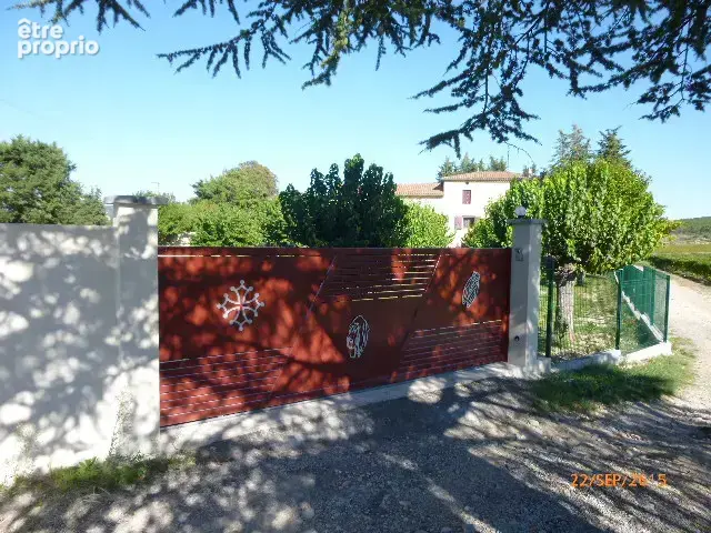 Au cœur des vignes - photo 4