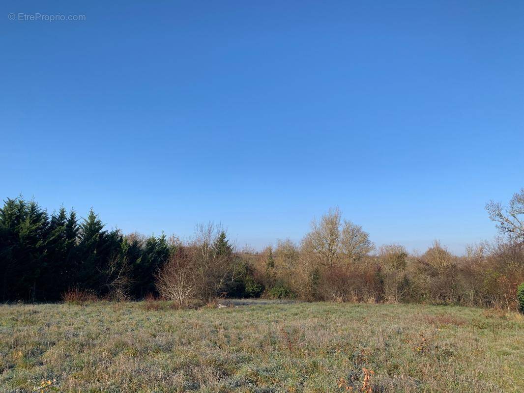 Terrain à FLEURANCE