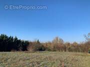 Terrain à FLEURANCE