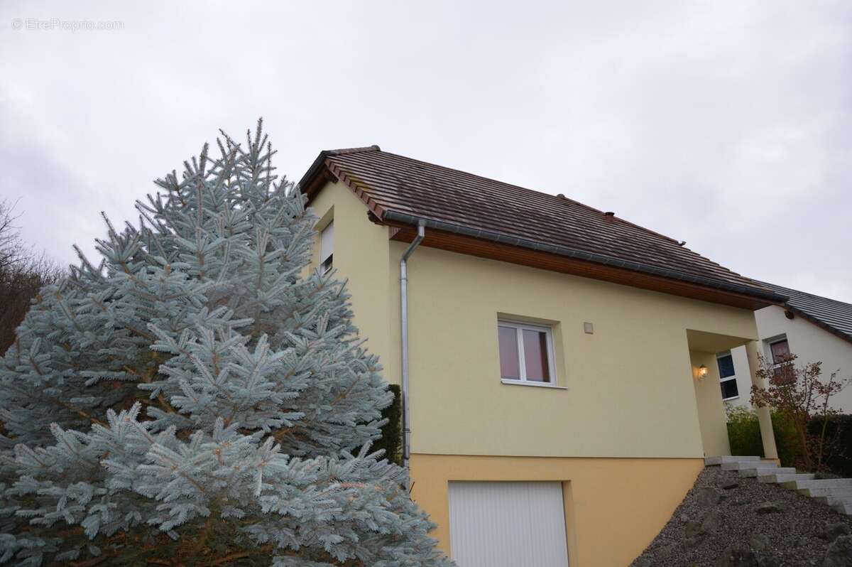 Maison à WITTERSDORF