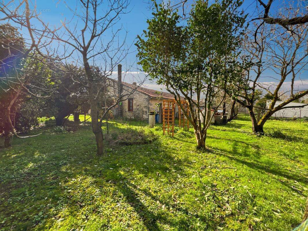 Maison 85 m² à Montils  - photo 5