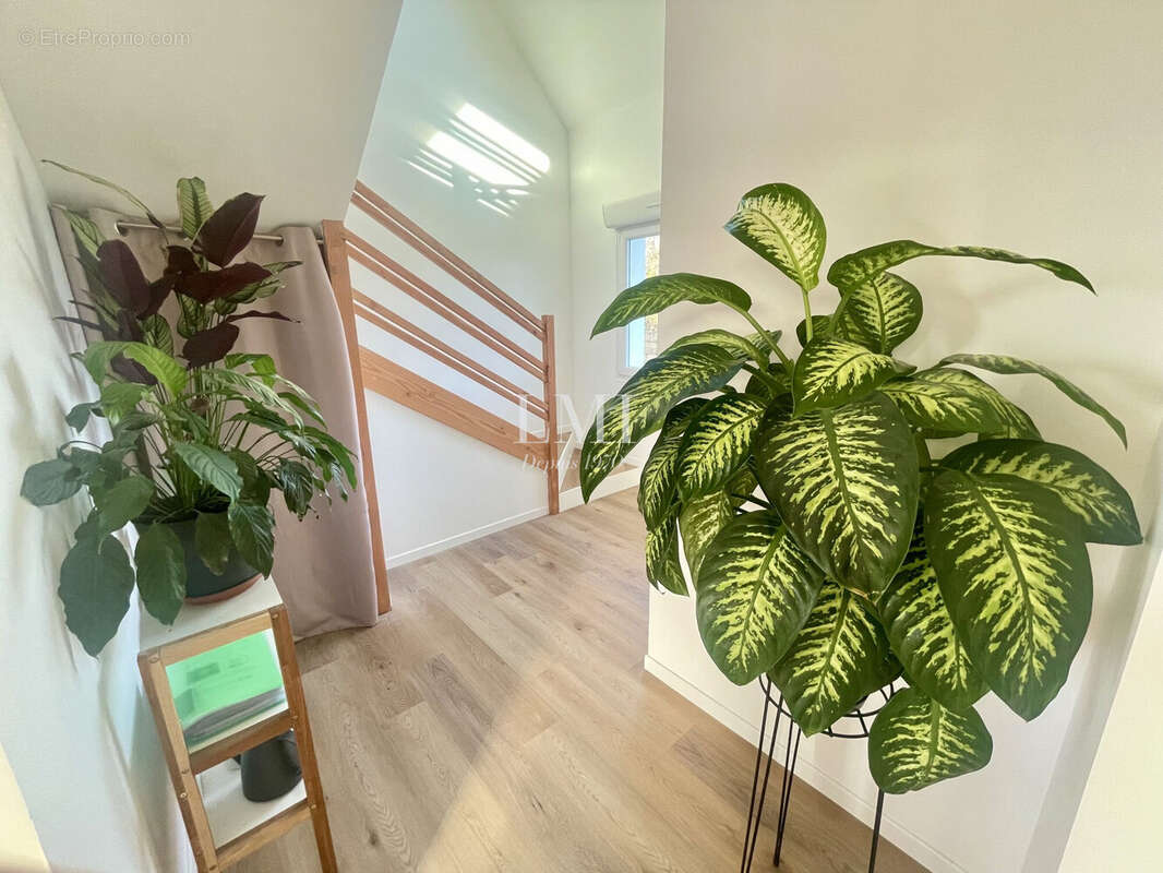 Maison à LOCOAL-MENDON